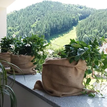 Séjour chez l'habitant Kania *