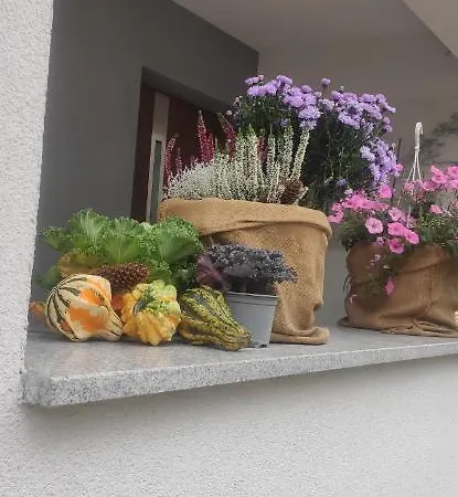 Kania Séjour chez l'habitant Szczawnica