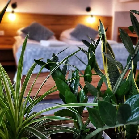 Kania * 什恰夫尼察